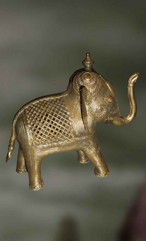 Kalabha: The Young Elephant