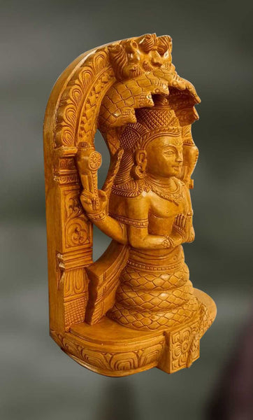 Patanjali: The Protector