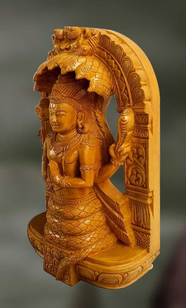 Patanjali: The Protector