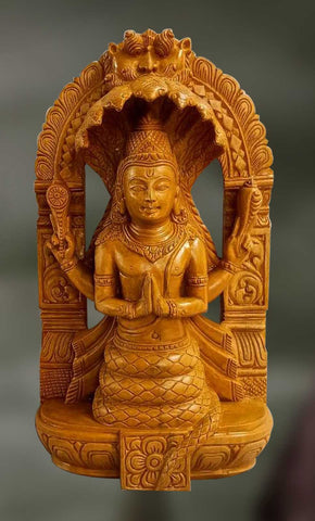 Patanjali: The Protector