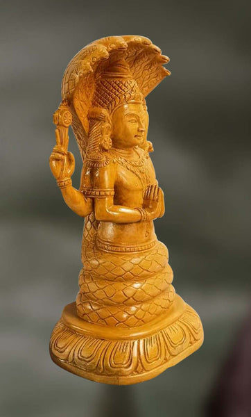 Patanjali: Teaching Yoga Sutra