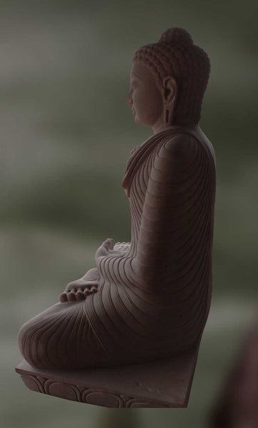 Gautam Buddha: Showring Divine Protection