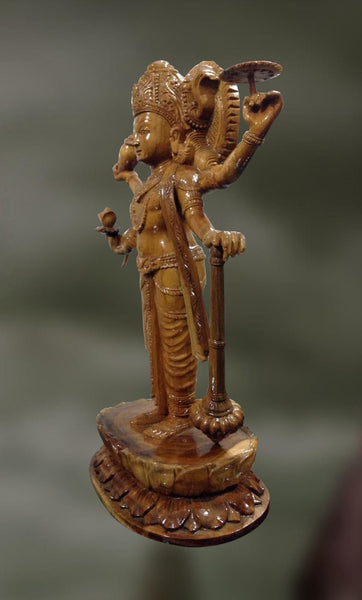 Loknath: Lord Naryana, The Lord of the World