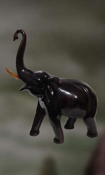 Matanga: The Elephant