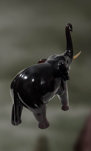 Matanga: The Elephant