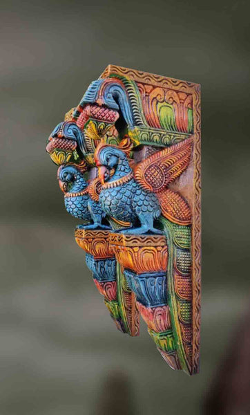 Sukah: Beautiful Parrots