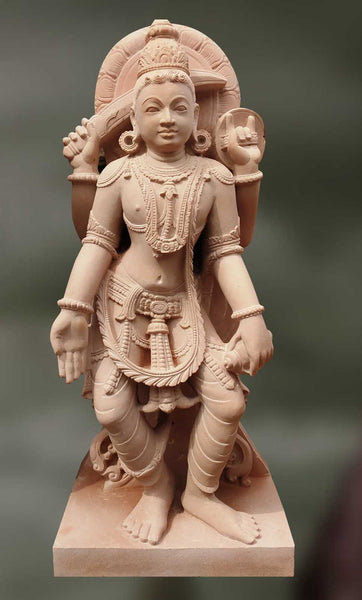 Narayani: The Exposer of Conciousness