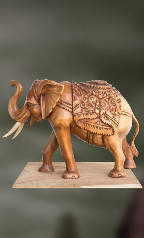 Dvidanta: The Elephant