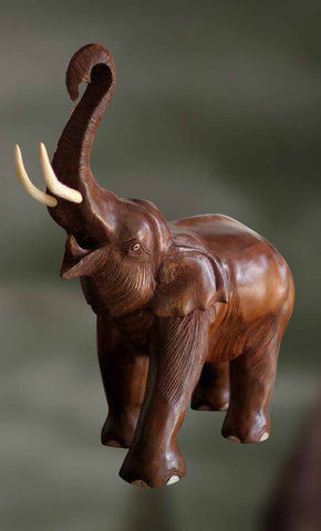 Dvipaayin: The Elephant