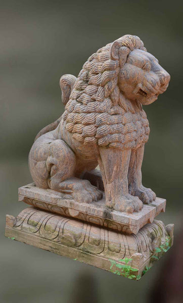 Vikrama : Ashoka Lion