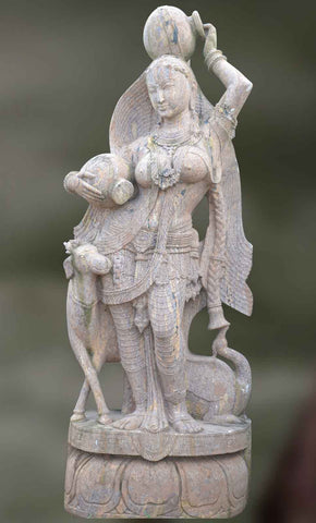 Vanita: The Rustic Beauty